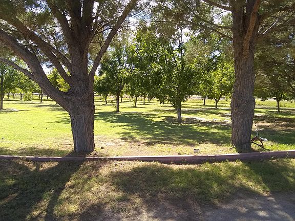 1 acre of pecan tress