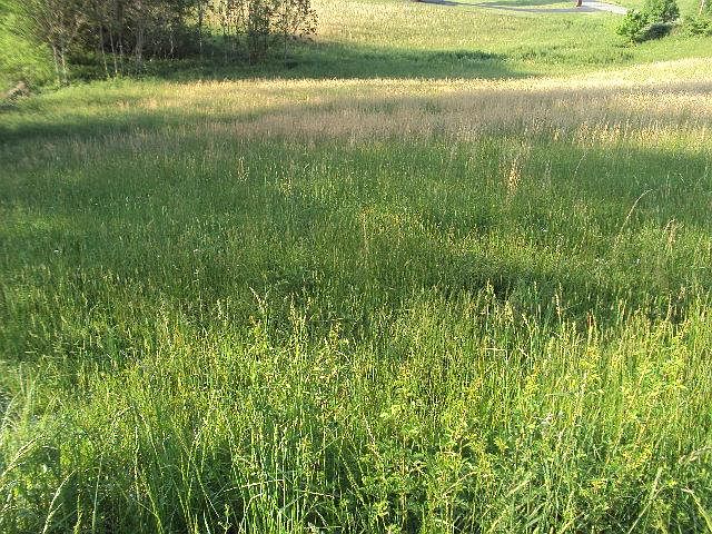 1st image of 42 Old Highway 52