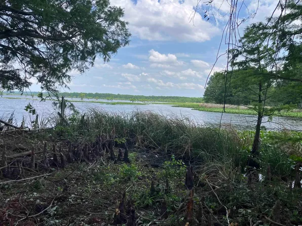 Grays Camp Ln, Tiptonville, TN 38079