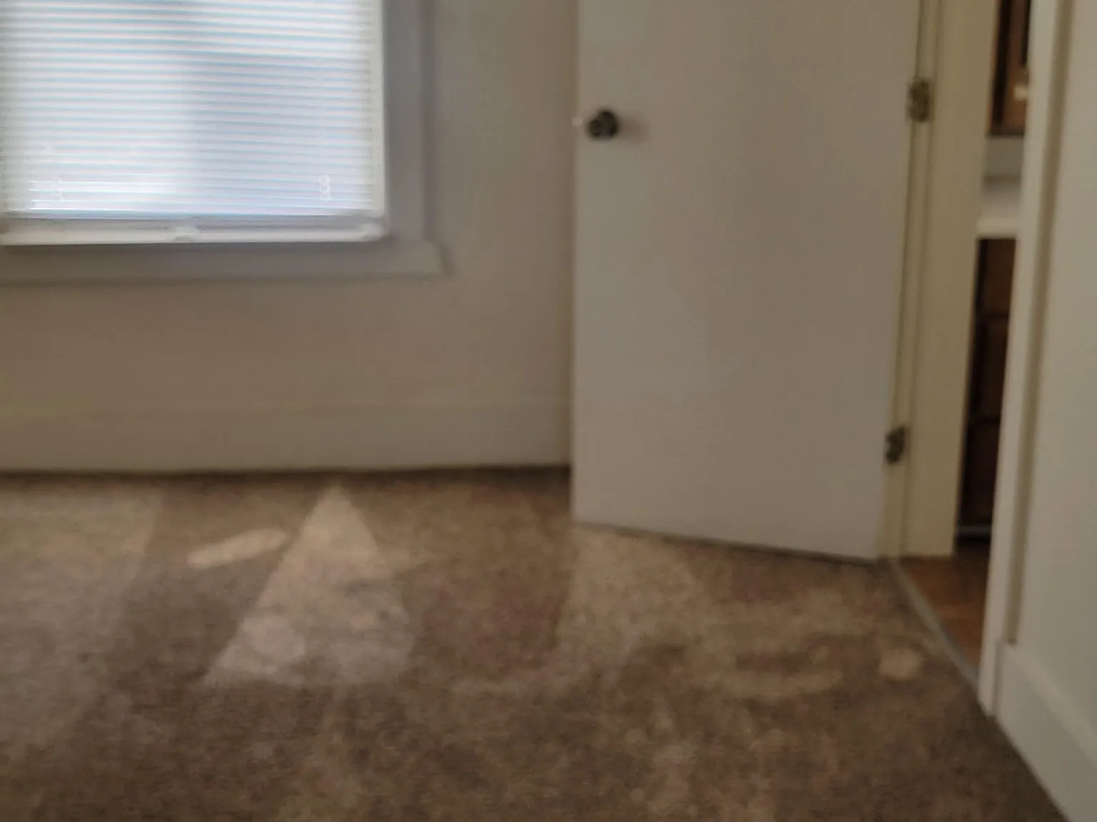 2 bed, 1000 sqft, $1,050 — Photo 3