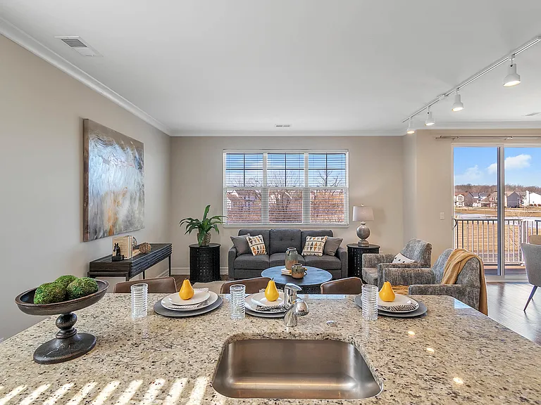 Dining / Living Room Dining / Living Room