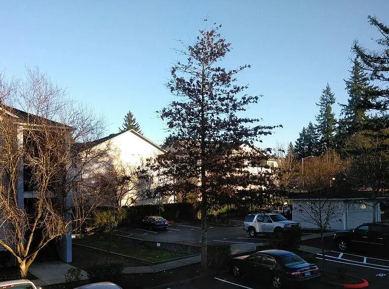 Foster Plaza Apartments — Photo 25