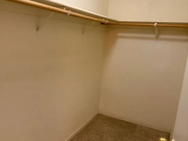 10 White Lily Ct — Photo 18