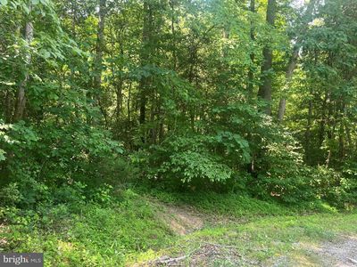 5517 Forest View Dr, Partlow, VA, 22534