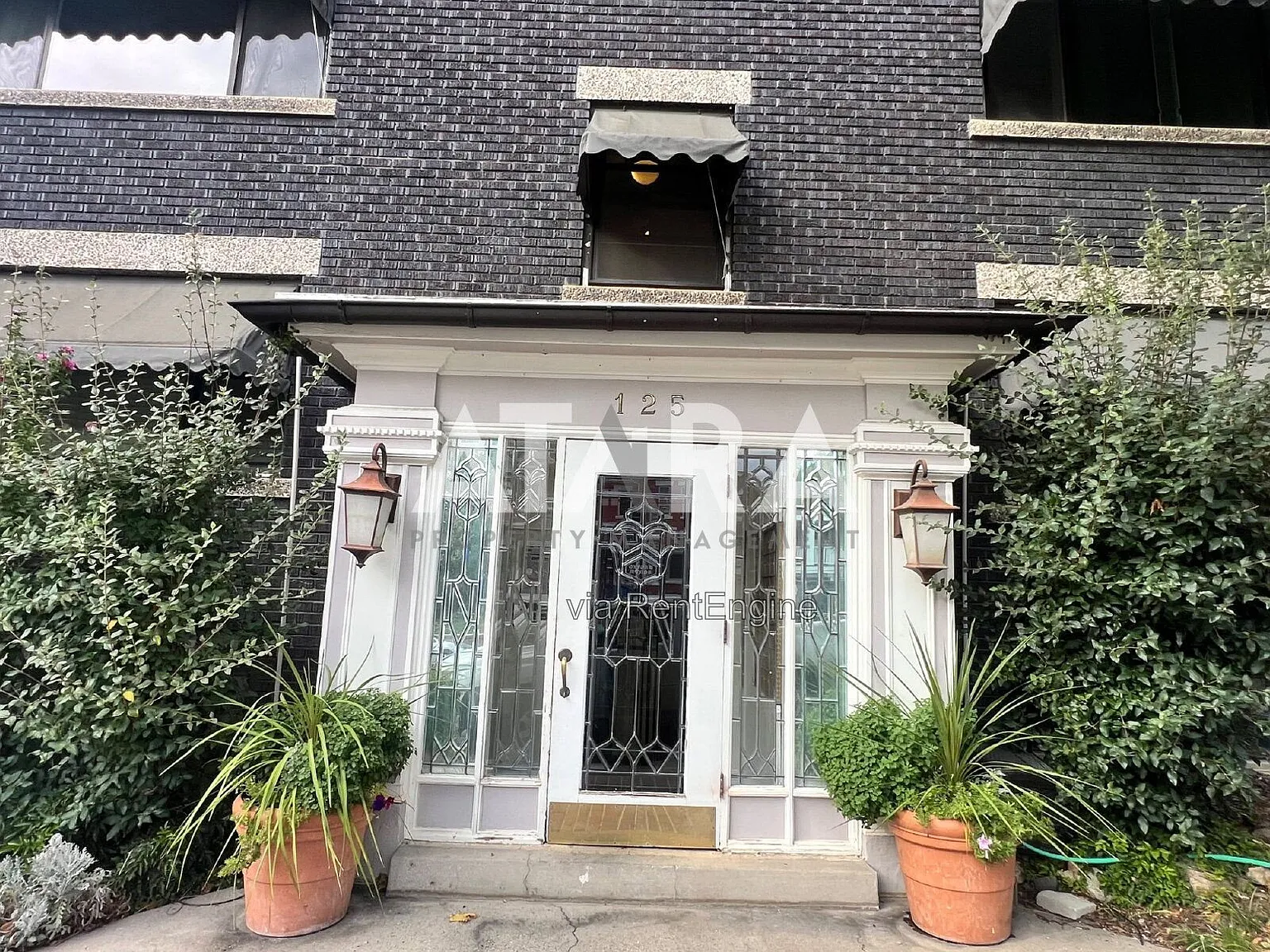 1 bed, 1.0 bath, 560 sqft, $1,125 — Photo 2