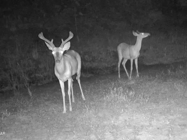 0 NW Martin Sewell Rd, Altha, FL 32421