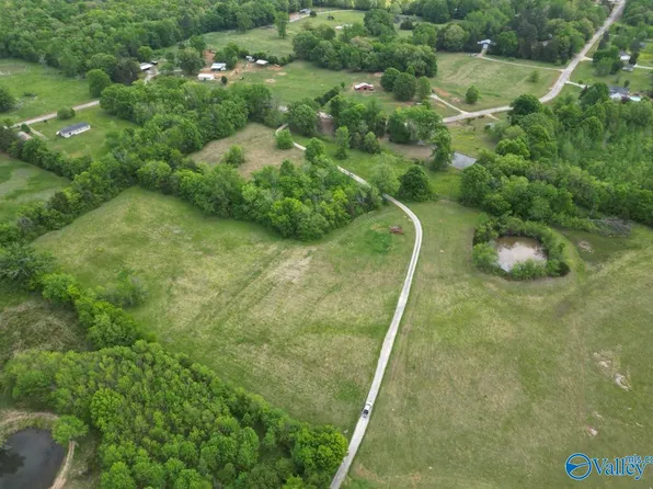 County Road 123, Moulton, AL 35650