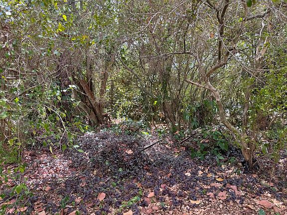 2nd image of 3358 S Jog Road