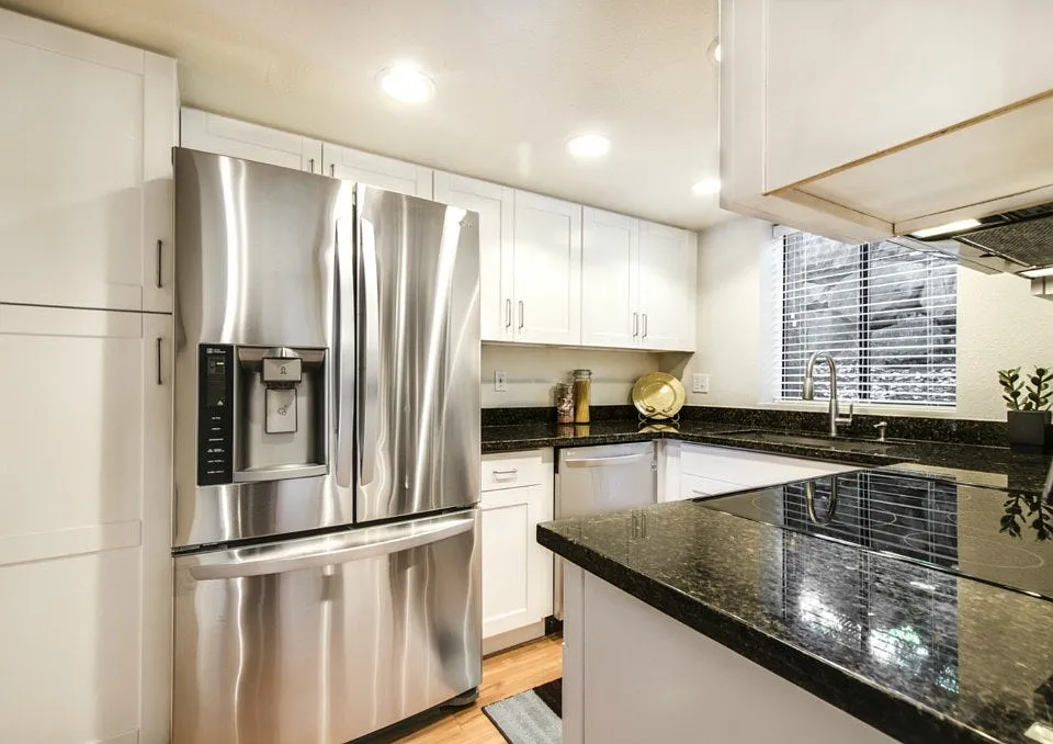Modern stainless steel appliances