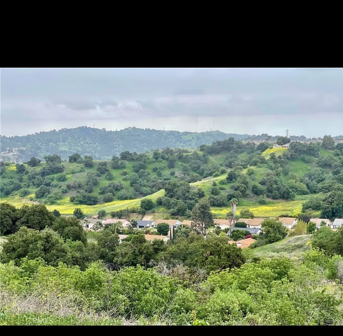 21062 Quail Run Dr — Photo 4
