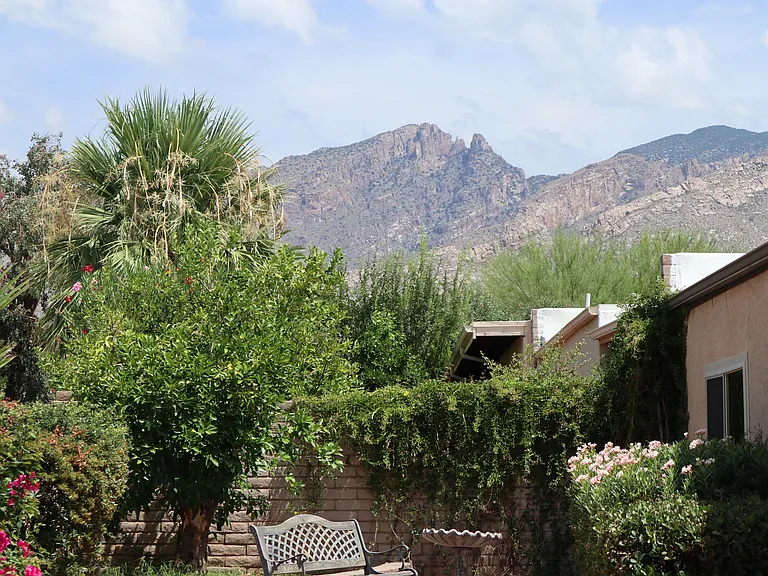 _31-View_06232023