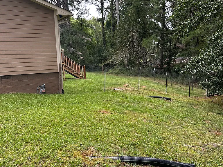 side/back yard