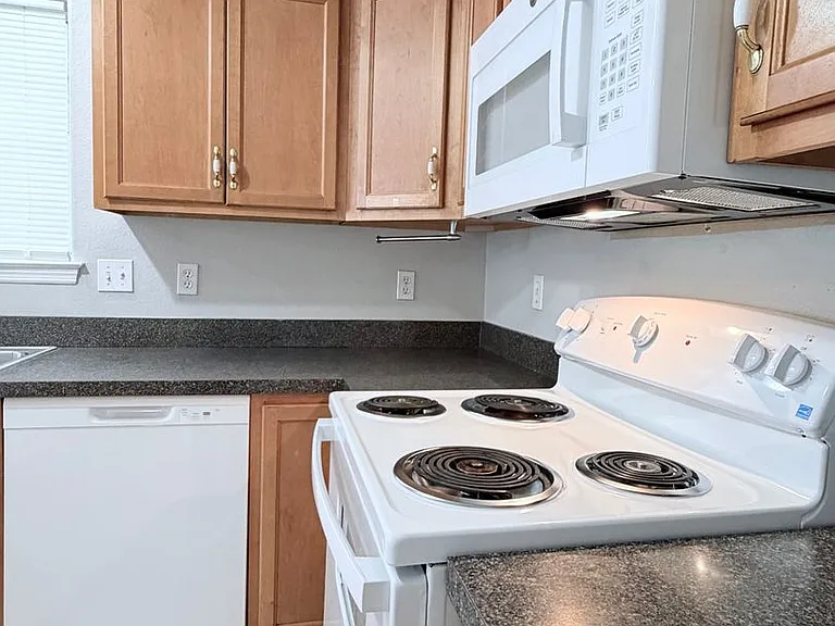 1635 Corey Wood Cir — Photo 15