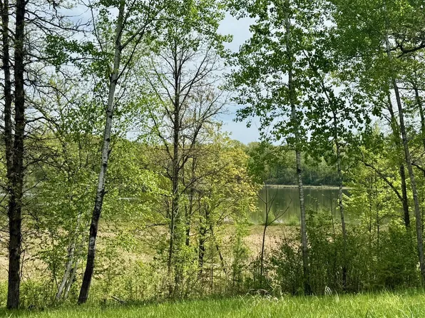 Xyz Dailey Lake Rd, Willow River, MN 55795