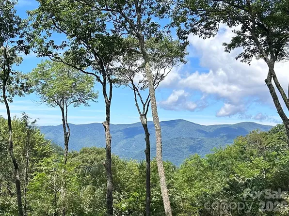 270 Olli Trl, Maggie Valley, NC 28751