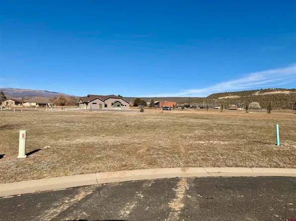 320 SE Flagstone Court, Cedaredge, CO 81413