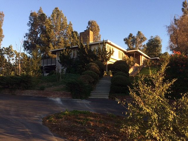 View from Driveway