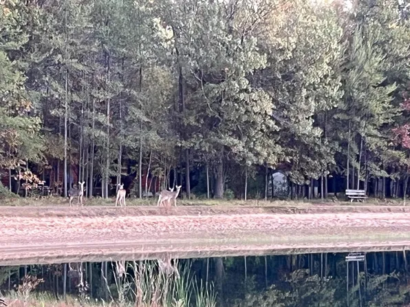 Lot 11 of Half Moon Bay #11, New Lisbon, WI 53950