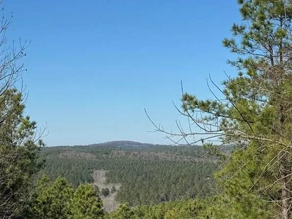 79 Vine Ct Lot 520, Broken Bow, OK 74728