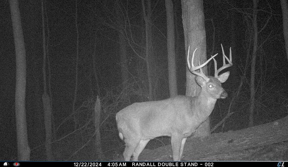1st image of 4345 Mount Unger Rd