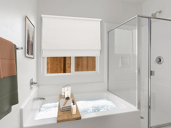 Owner s bath shower