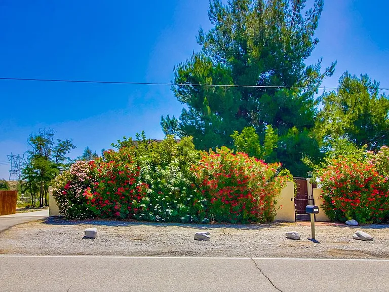 outside front