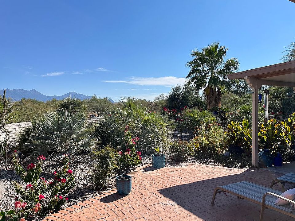 Backyard from garden area