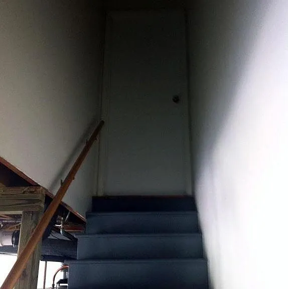1340 Mimosa Dr — Photo 19