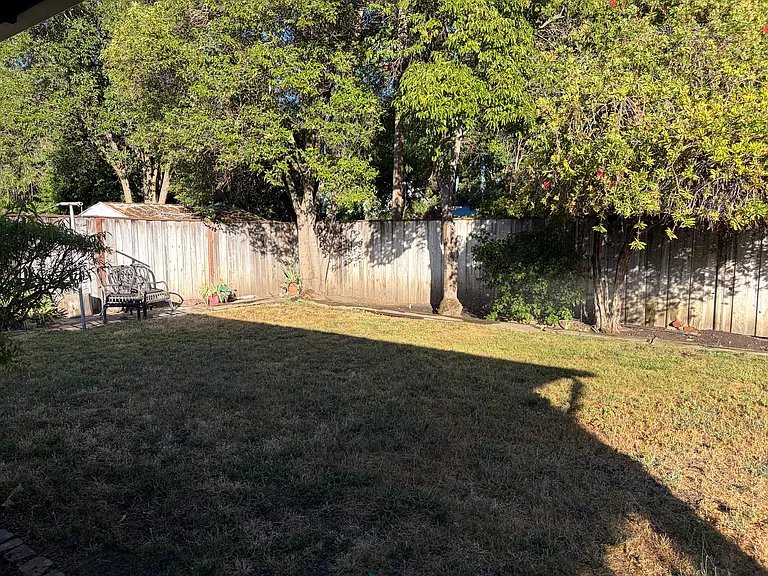 Back yard
