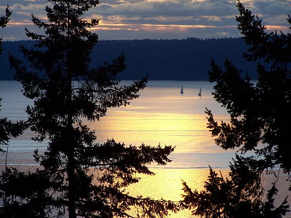 View From One Of The Decks