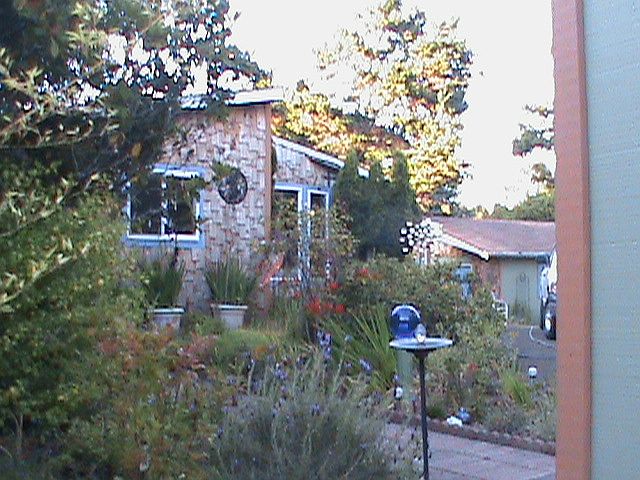 Walkway To Front Entry