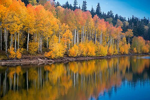 1st image of Near Kolob Reservoir