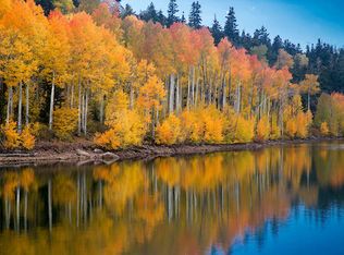Near Kolob Reservoir, Springdale, UT 84767