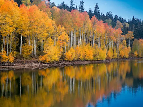 Near Kolob Reservoir, Springdale, UT 84767