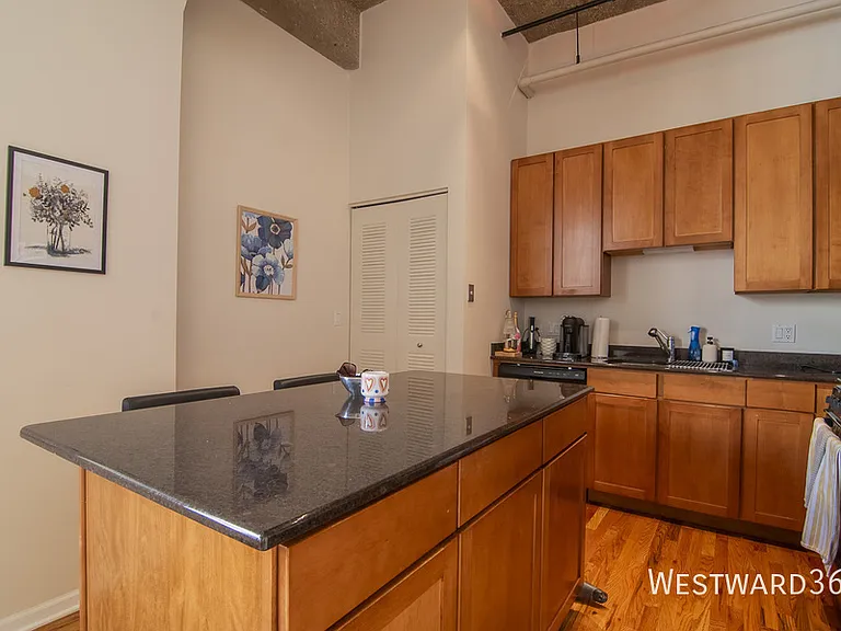 758 N Larrabee St #726 — Photo 7