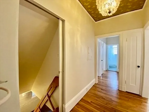 205 Mount Auburn St #1D — Photo 9