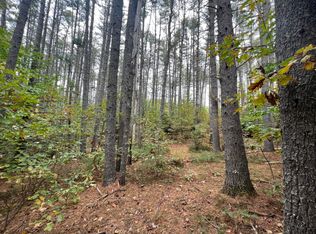 21-2 Wilderness Ln, Hiram, ME 04041