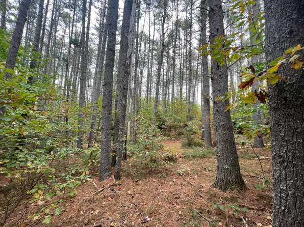 Lot 21-2 Wilderness Lane, Hiram, ME 04041