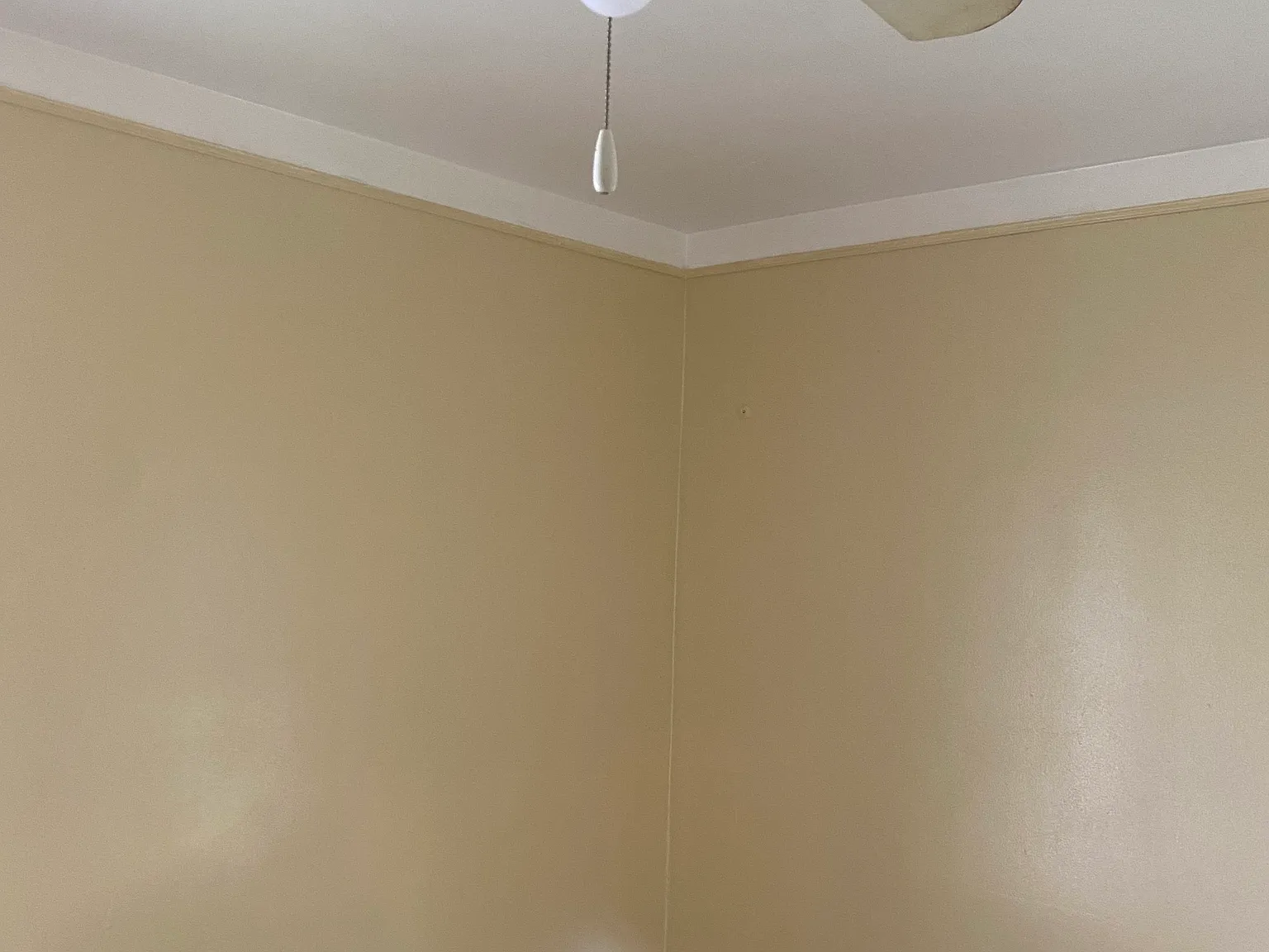 3 bed, 1100 sqft, $1,325 — Photo 4