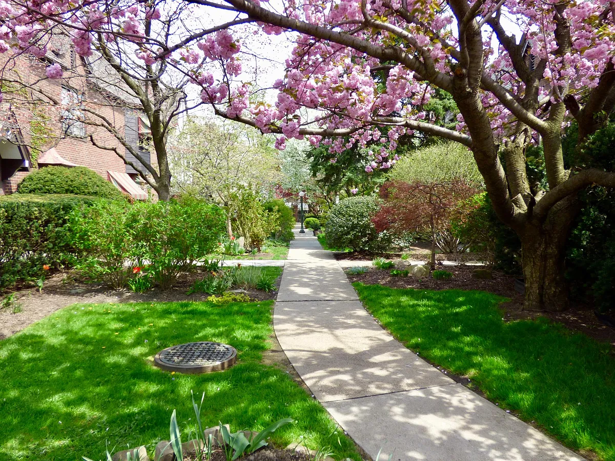 Courtyard - 555 S Negley Ave #11