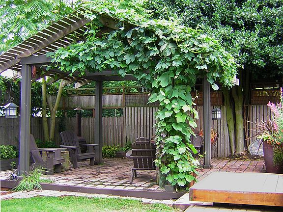 patio, deck & pergola