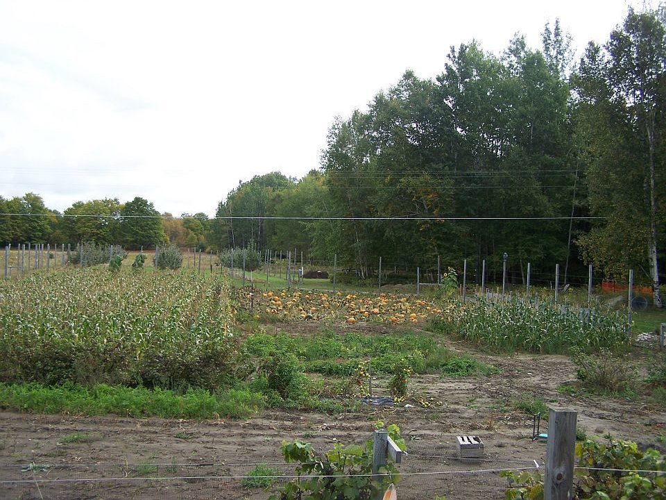 2nd image of 34735 S Townline Rd