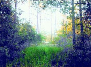 3558 S Avens Way, Homosassa, FL 34448