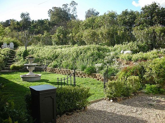 Courtyard/Lawn Area
