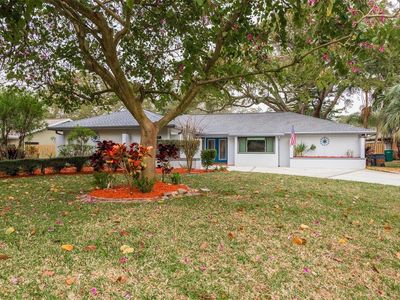 287 Lakeview Ter, Palm Harbor, FL, 34683