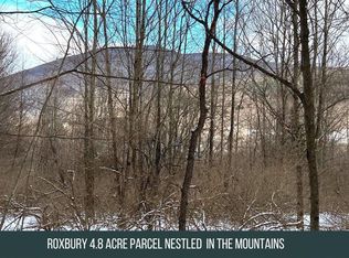 0 Henry Williams Rd, Roxbury, NY 12474