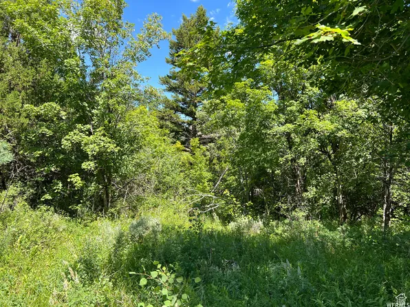 1320 S Sculpin Loop, Garden City, UT 84028