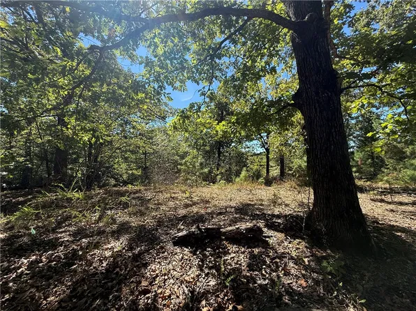 Lakewood Dr #9, Lowell, AR 72745