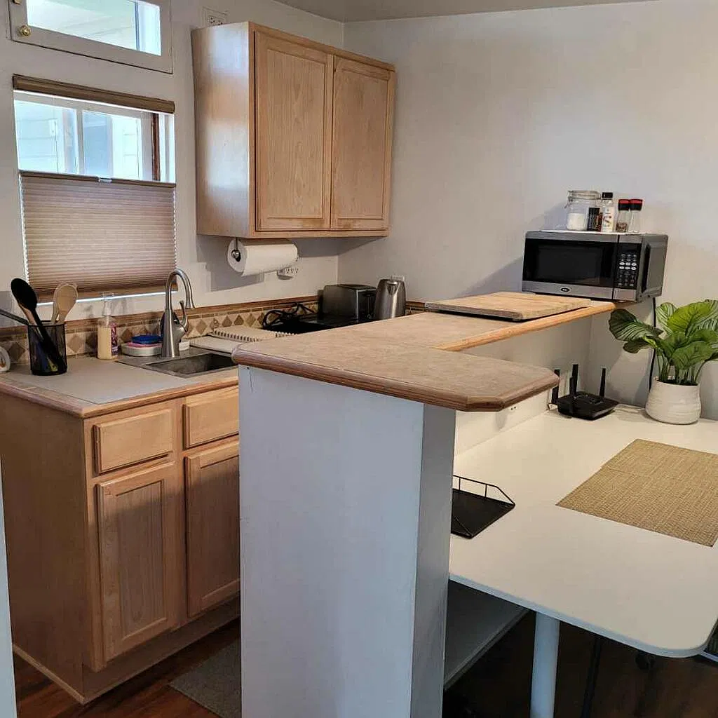 2 bed, 255 sqft, $2,000 — Photo 4