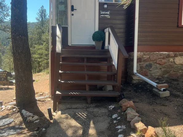 28548 Park Ave, Pine, CO 80470